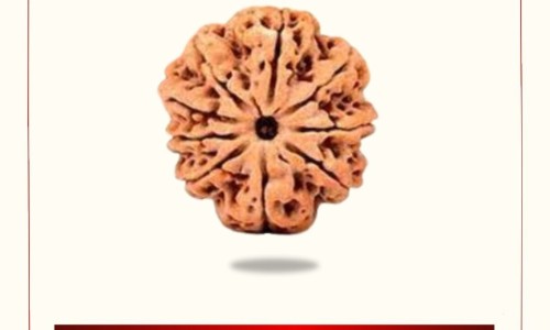 中耳炎中药能调理好吗-中耳炎什么中药好网 - 中耳炎喝什么中药药效果最好,中耳炎中药消炎药有哪些